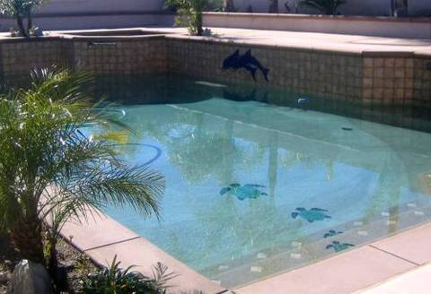 Turtle and Dolphin Swimming Pool Mosaic