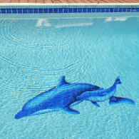 Turtle and Dolphin Swimming Pool Mosaic