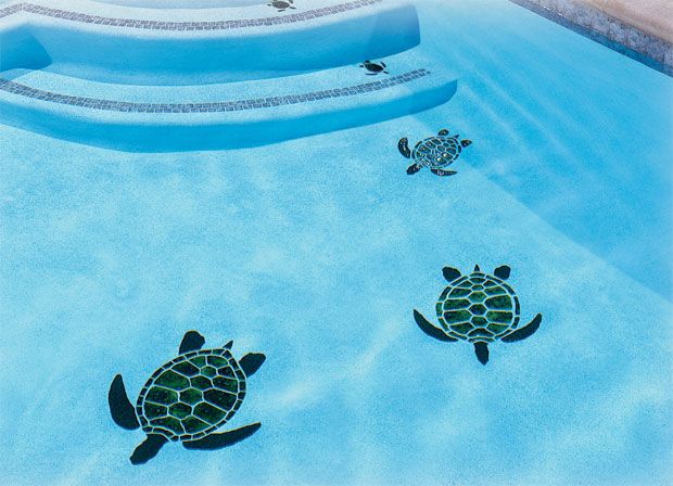 3 Essential Things to Consider When Picking the Best Turtle Mosaic for Your Pool